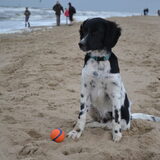 Foto van Michelle & Bentley