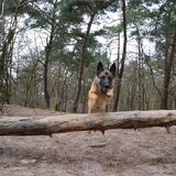 Foto van Lisanne, Misha, Tessa&Arrow