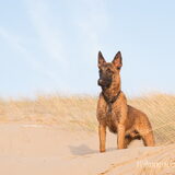 Foto van De Mecheltjes clan