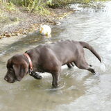 Foto van Wendy