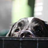 Foto van Eline