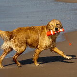12-3 Noordwijk