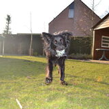 Foto van * Baasje Buddie met Anne*