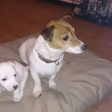 Foto van Lady_Joy