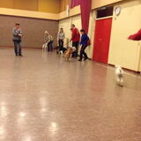 Ringtraining Diva 1x