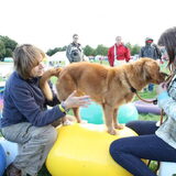 Foto van judith