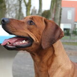 mn mooie meisje