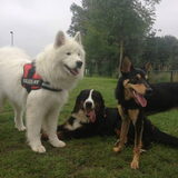 Foto van Team Black & White