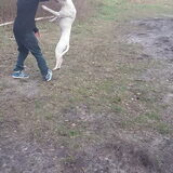 Foto van Charissa