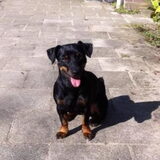 Foto van Mandy