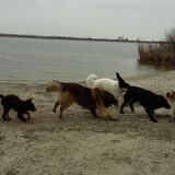 Foto van Fons & Isha