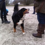 Foto van Luca