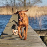 Foto van Lisette de Witte