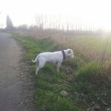 Foto van Jeroen & Lola