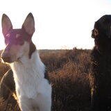 Foto van Liza, (Chiva) Lexi & Elza