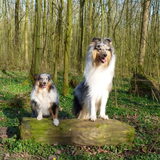Foto van Lizzie en Sterre