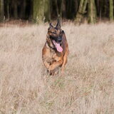 Foto van De Mecheltjes clan