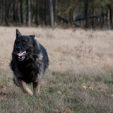 Foto van De Mecheltjes clan