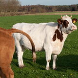 heee wat doe je nou