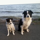 Foto van Inge, baasje van Sasha en Myra <3