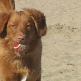 Foto van judith