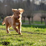 Foto van Maks met Fenna & Yuna