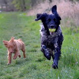 Foto van Maks met Fenna & Yuna