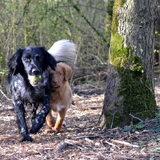 Foto van Maks met Fenna & Yuna