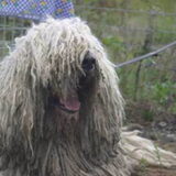 Foto van * Baasje Buddie met Anne*