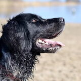Foto van Maks met Fenna & Yuna