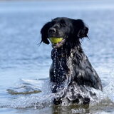 Foto van Maks met Fenna & Yuna