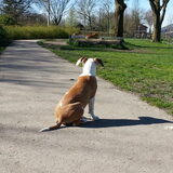 Foto van Zoe en ik