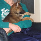 Foto van wolfwoman