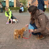 Foto van Inge, baasje van Gina, Flynn en Wobbe