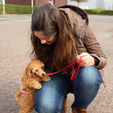 Foto van Inge, baasje van Gina, Flynn en Wobbe