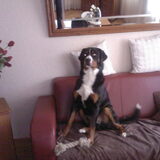 Foto van rene post