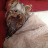 Foto van Anny en Lance
