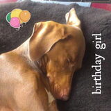 HOERA! Vandaag ben ik jarig, ik ben al weer 3 jaar! En om dat te vieren…