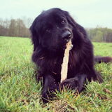 Foto van Anouk & Balou<3