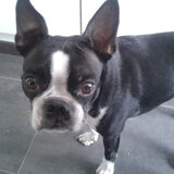 Foto van Linda en Lola