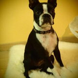 Foto van Linda en Lola