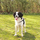 Foto van Angelique; Bruno, Charlie & Fenna