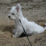 Foto van judith