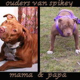 Foto van priscilla & C.S.C
