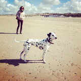 Jolie aan zee