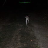 En daar maar weer balletjes gooien!! =)