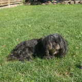 Onze Tammy