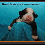 Foto van Anna