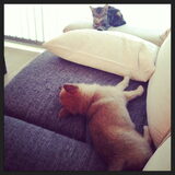 Foto van Vicky & Toby