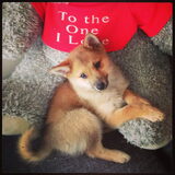 Poseren kan ze zene! :D Een echt meisje! *Xilla